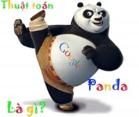 Google Panda Là Gì? Tối Ưu Seo Cho Trang Với Google Panda