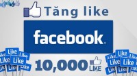 Mua Like Fanpage Facebook Và Một Số Điểm Tiêu Cực Đi Cùng