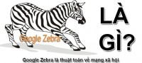 Thuật Toán ZeBra Là Gì? Cách Tránh Thuật Toán Zebra Hiệu Quả
